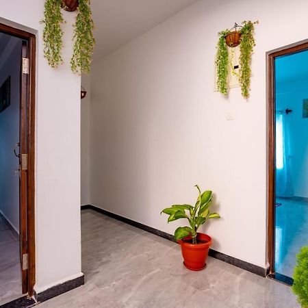 Вилла Goan Fiesta Studio Calangute Goa Экстерьер фото